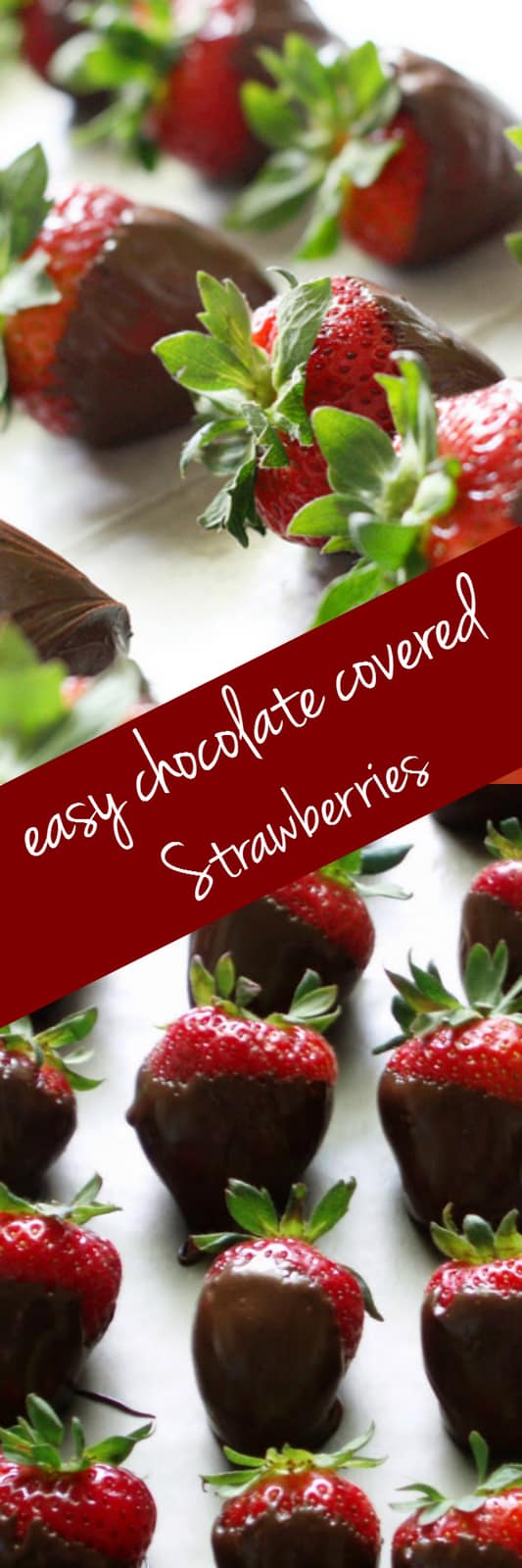 Delicious and simple chocolate covered strawberries are a sweet and stunning dessert!