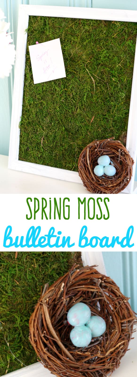 Make a very fresh and fun spring moss bulletin board! Easy and so cute for this time of year! #moss #spring