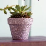 succulent in a purple glittered pot