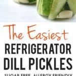 easiest refrigerator pickle recipe