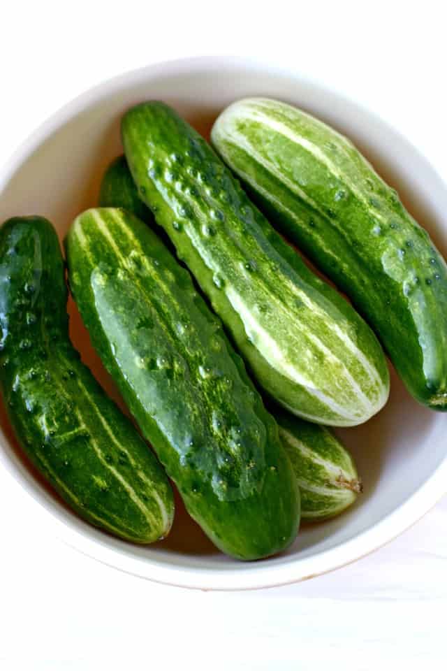 pickling cucumbers in  bowl