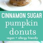 Soft and delicious cinnamon sugar pumpkin donuts are the perfect treat to enjoy with hot cider!
