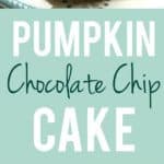 pumpkin chocolate chip cake