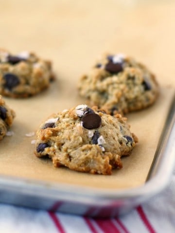 coconut chocolate chip oatmeal cookies