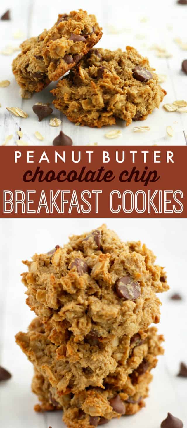 These breakfast cookies are delicious, EASY, and healthy! Peanut butter chocolate chip oatmeal breakfast cookies - refined sugar free, full of fiber and protein, and made in just one bowl! #breakfast