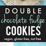 Decadent gluten free double chocolate fudge cookie recipe