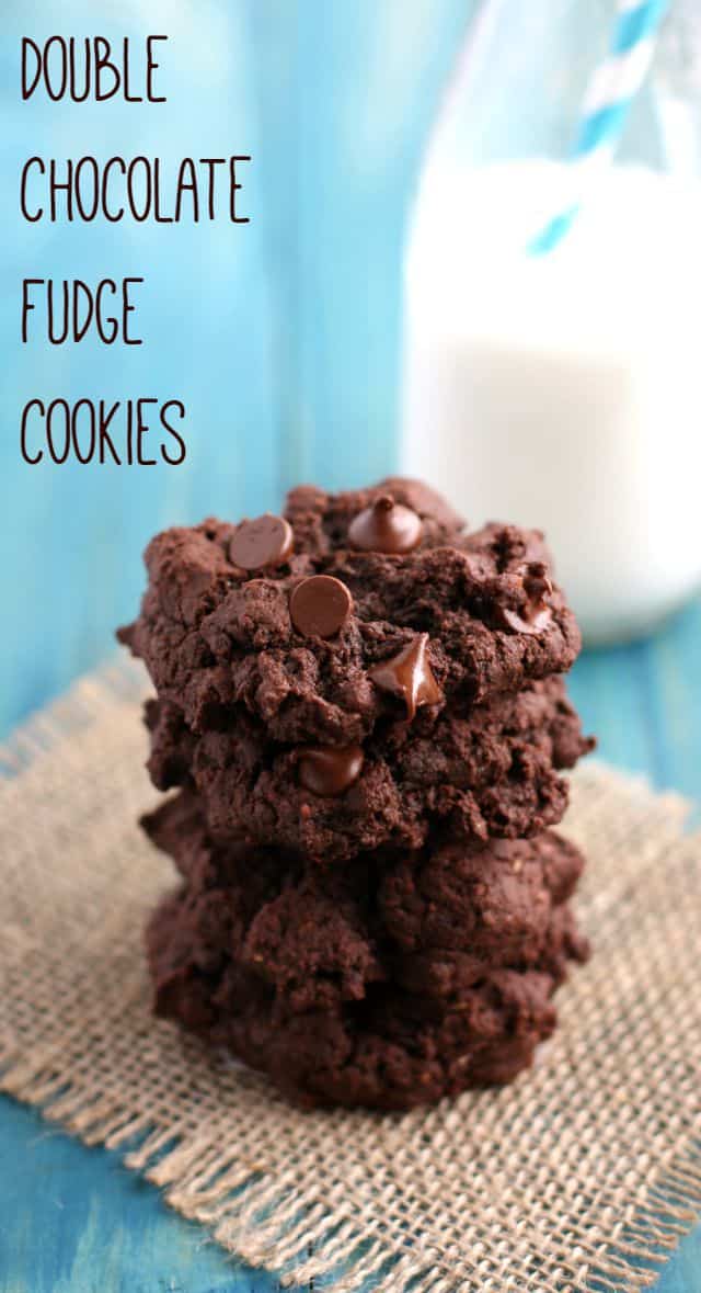 rich double chocolate fudge cookies with a bottle of milk in the background