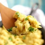 Shells and cheese made with a creamy cauliflower sauce. This is easy to make and full of fiber!