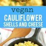 Shells and cheese made with a creamy cauliflower sauce. This is easy to make and full of plant based nutrition!