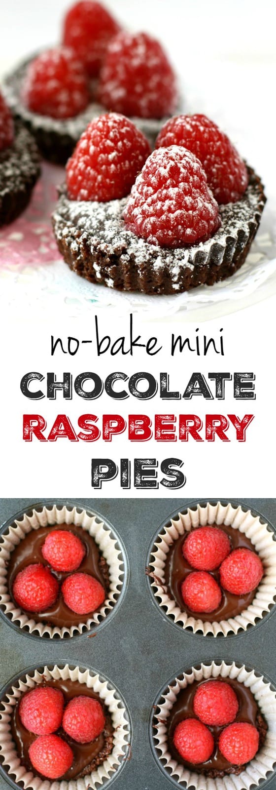 No-Bake Mini Chocolate Raspberry Pies. - The Pretty Bee