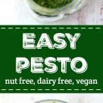 Easy and delicious nut free and dairy free pesto sauce is delicious on pasta or pizza!