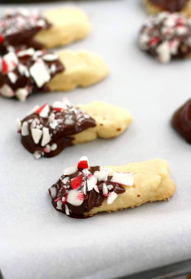 buttery shortbread cookies dipped in chocolate and candy cane pieces