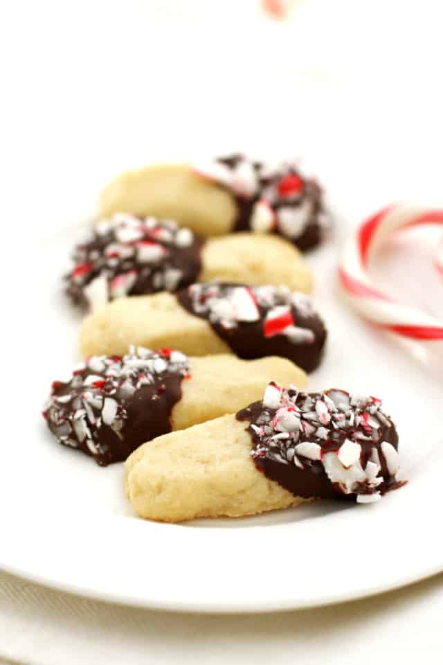gluten free shortbread cookies dipped in chocolate