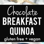 Chocolate quinoa breakfast cereal is a tasty and healthy gluten free and dairy free breakfast.