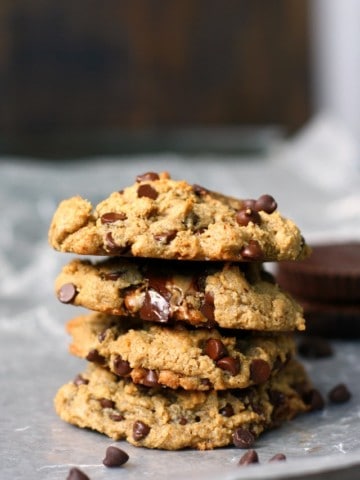 Chewy, gooey, chocolatey and delicious sunbutter cookies are made extra special with the additon of chocolate chips and suncups.