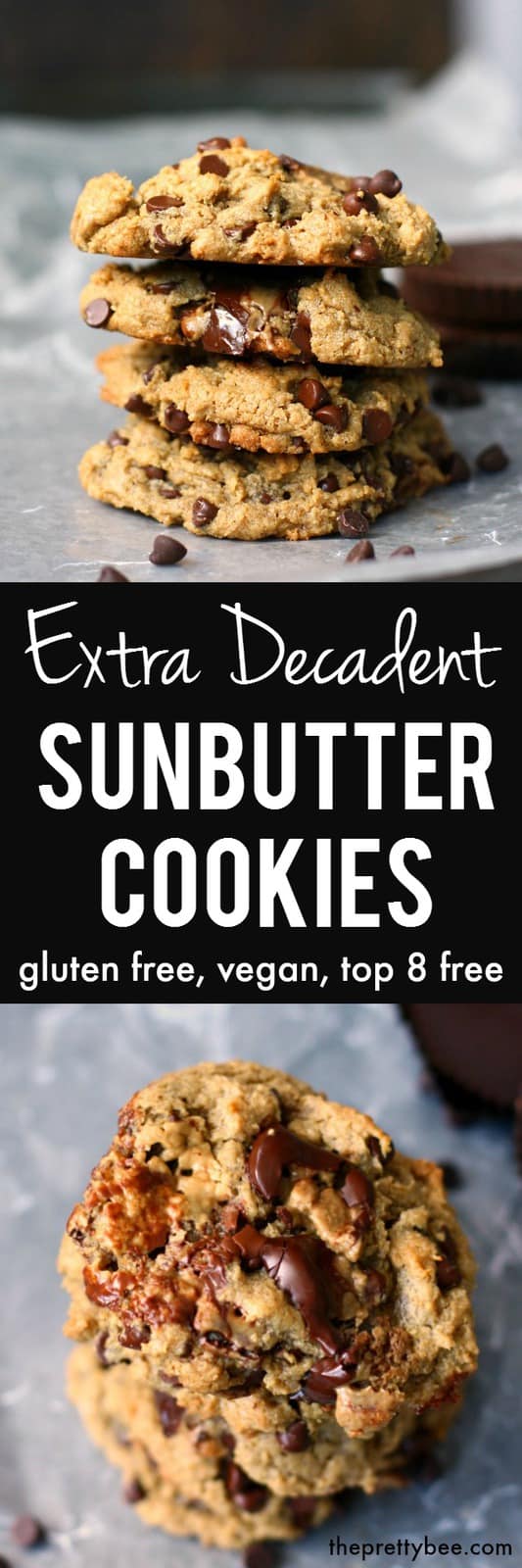 Chewy, gooey, chocolatey and delicious sunbutter cookies are made extra special with the additon of chocolate chips and sun cups.