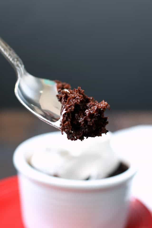 spoon with a bite of chocolate cake on it