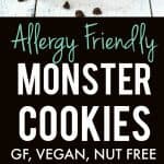 monster cookie recipe without nuts