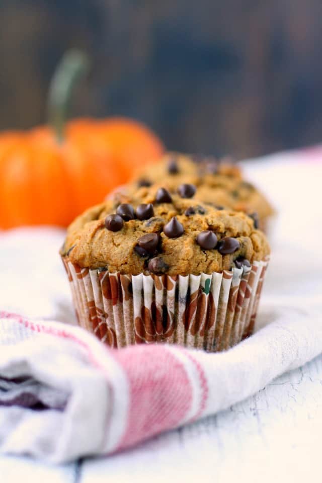 vegan chocolate chip pumpkin muffins