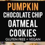 pumpkin cookie recipe