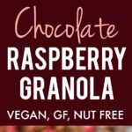 the best chocolate raspberry granola