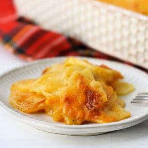 cheesy vegan au gratin potatoes