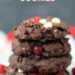 chocolate cookies with cranberries