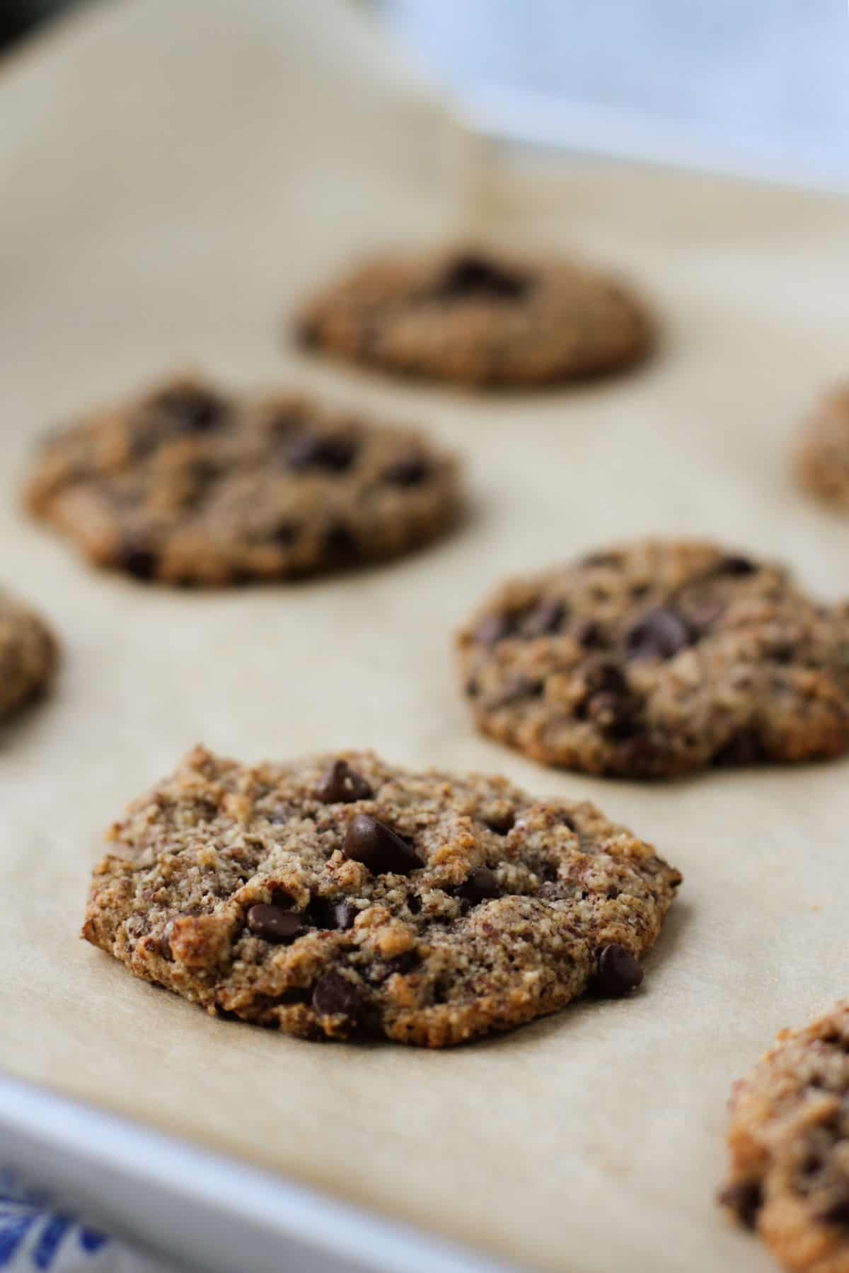 grain free almond meal cookies on a baking sheet