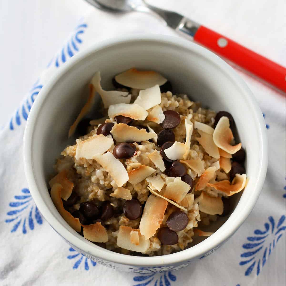 Coconut Chocolate Chip Steel Cut Oats. The Pretty Bee