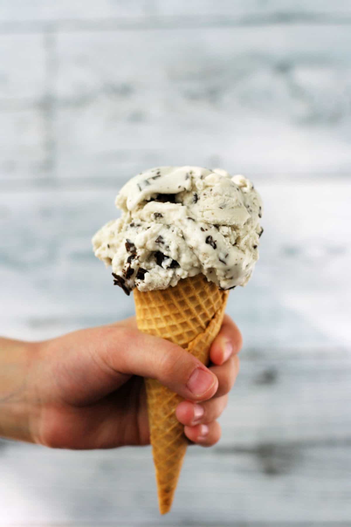 dairy free chocolate chip ice cream in a cone