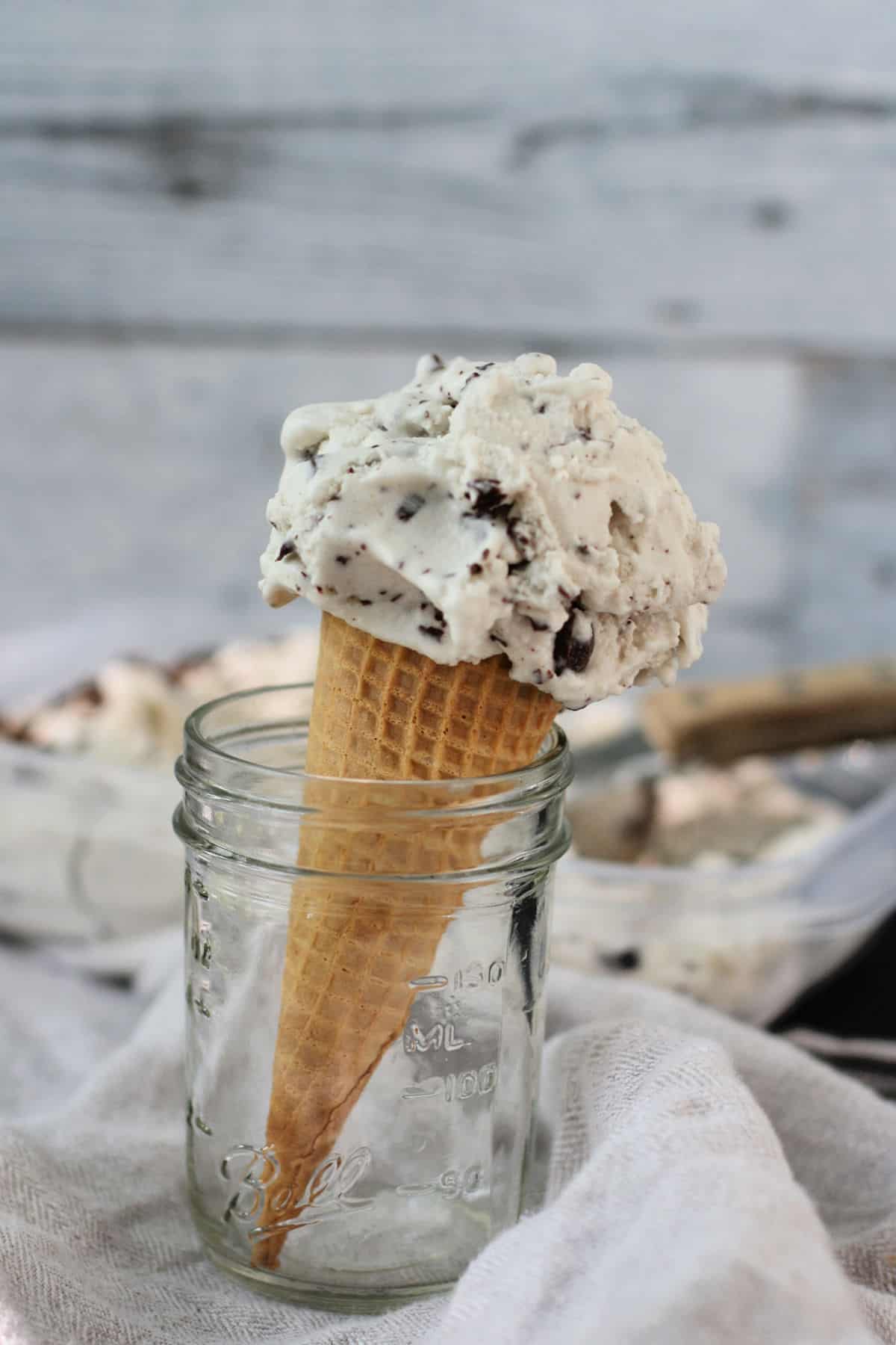 vegan chocolate chip ice cream cone