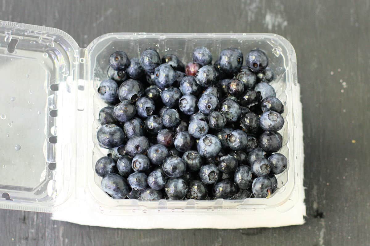 blueberries in container