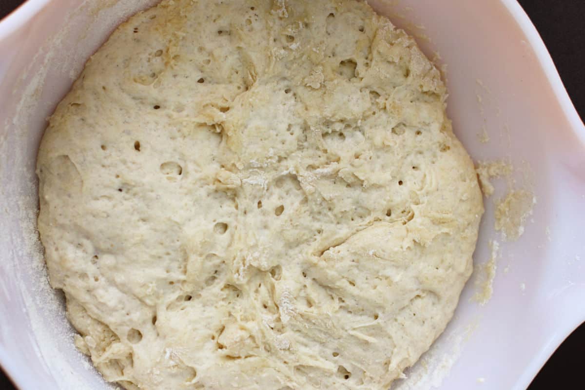 vegan cinnamon dough after rising