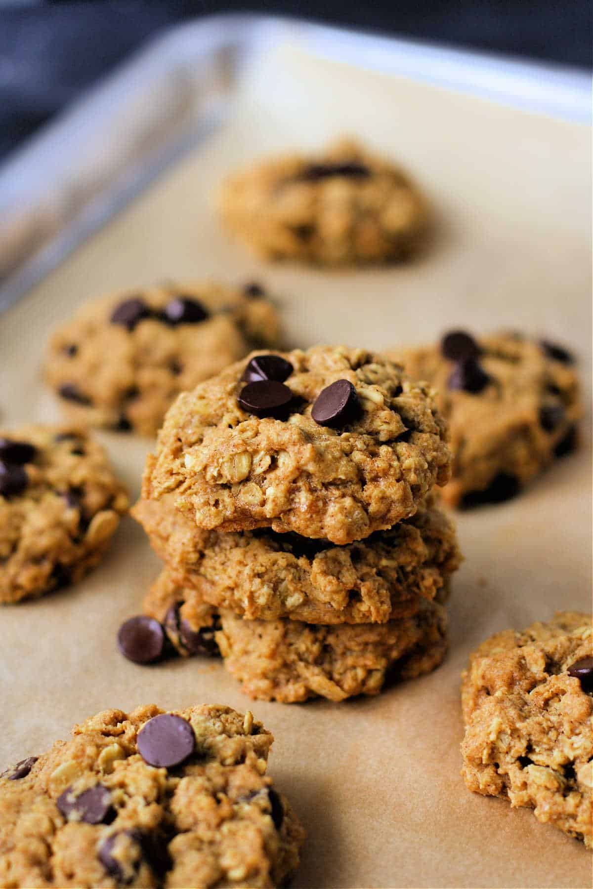 chewy chocolate chip pumpkin oatmeal cookies stacked up