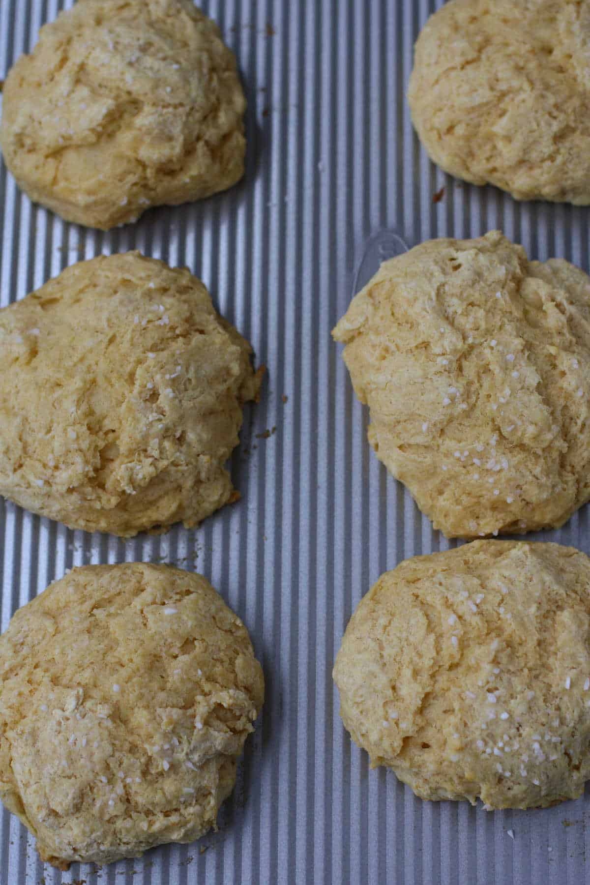 egg free biscuits after baking