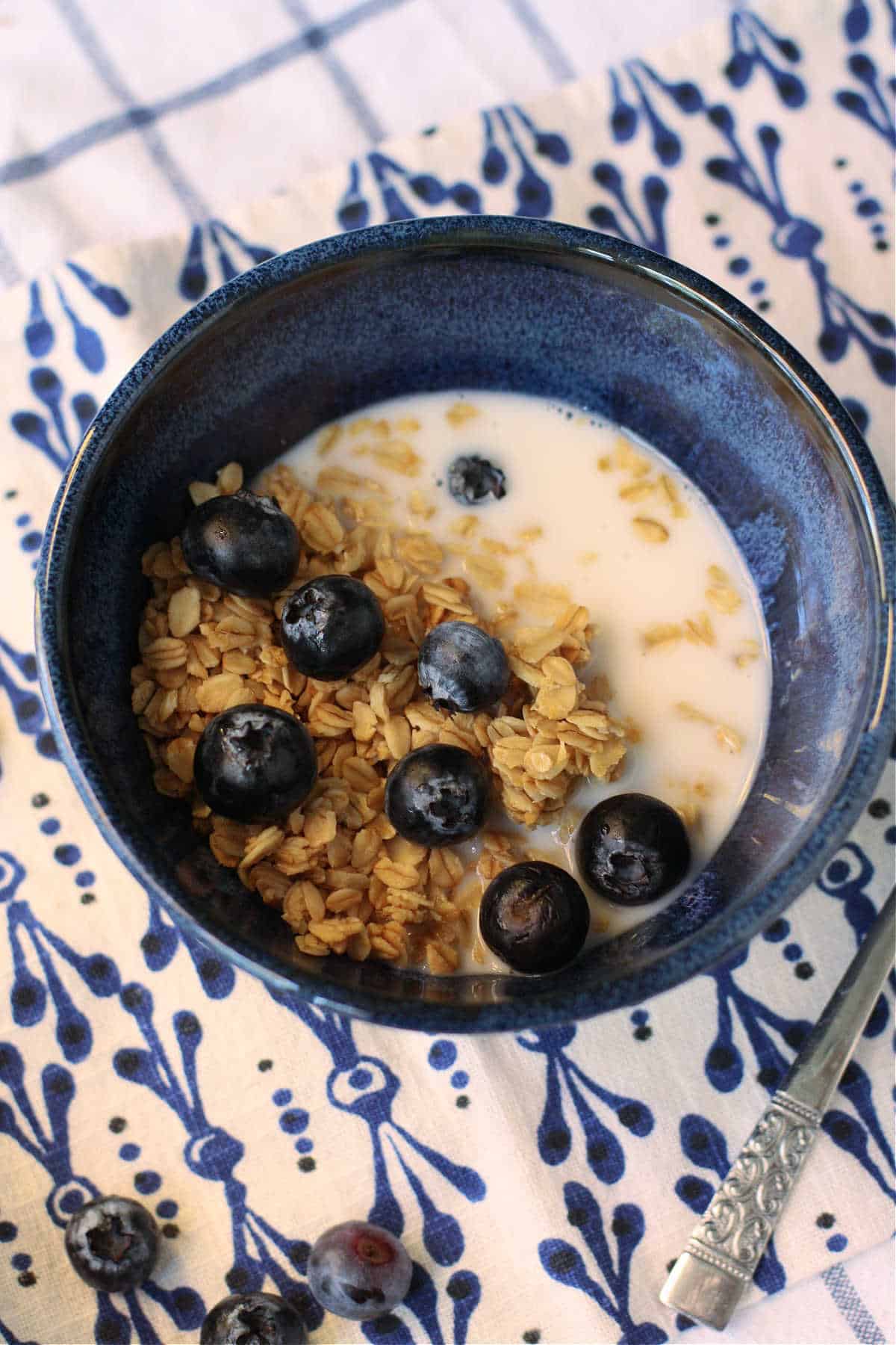 dairy free granola in a bowl with berries