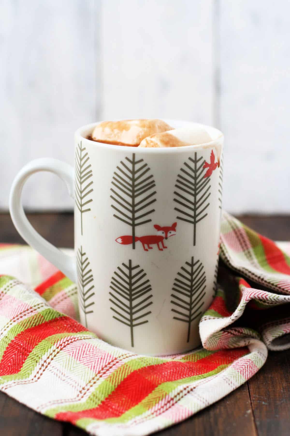 dairy free hot chocolate (1)