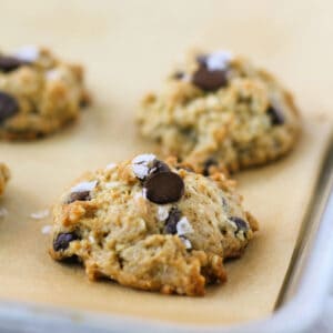 gluten free dairy free chocolate chip coconut oatmeal cookies