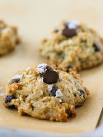 gluten free dairy free chocolate chip coconut oatmeal cookies