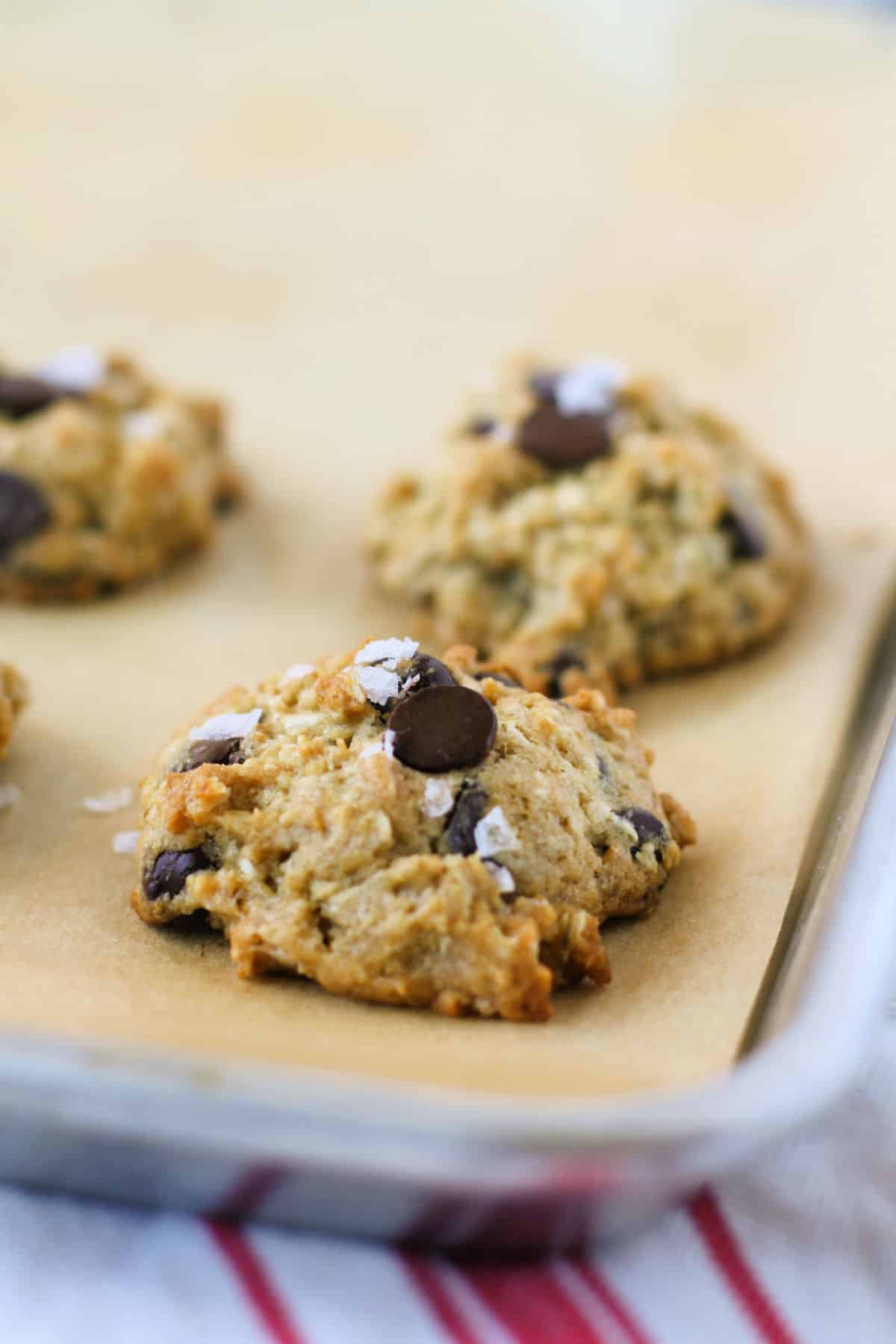 vegan gluten free coconut oatmeal cookies with chocolate chips on a parchment lined cookie sheet