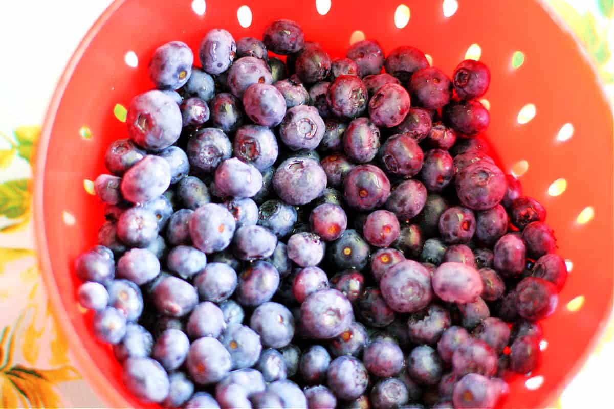 blueberries in strainer