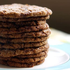 chewy vegan molasses cookies