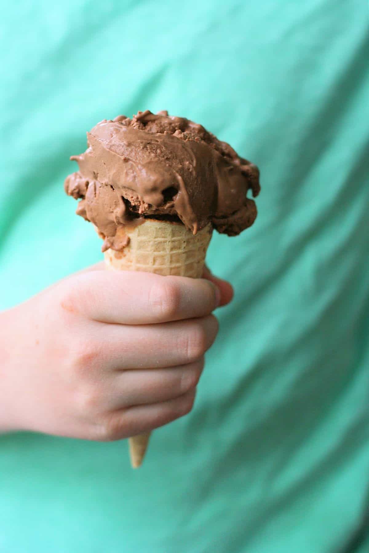 coconut milk chocolate ice cream in a cone