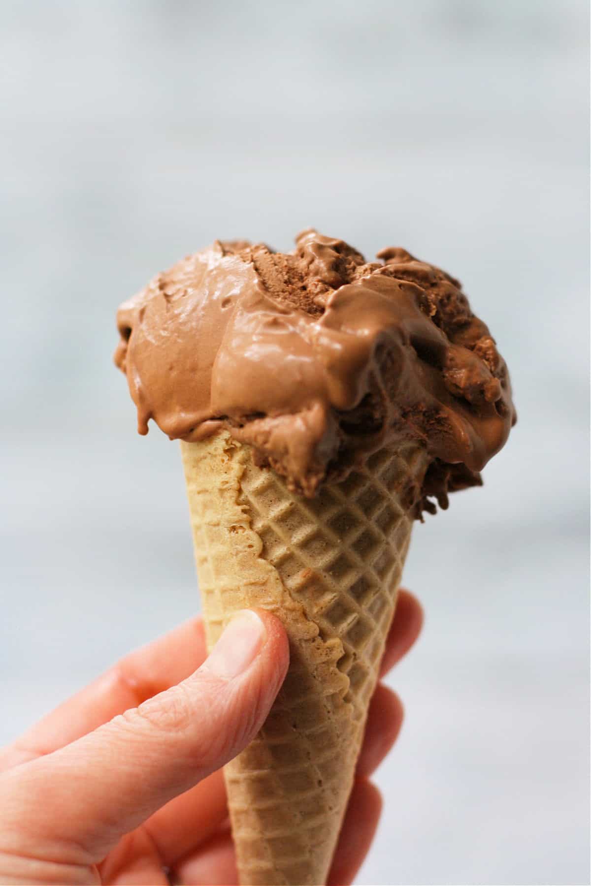 dairy free chocolate ice cream cone