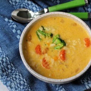 dairy free gluten free cheesy vegetable soup