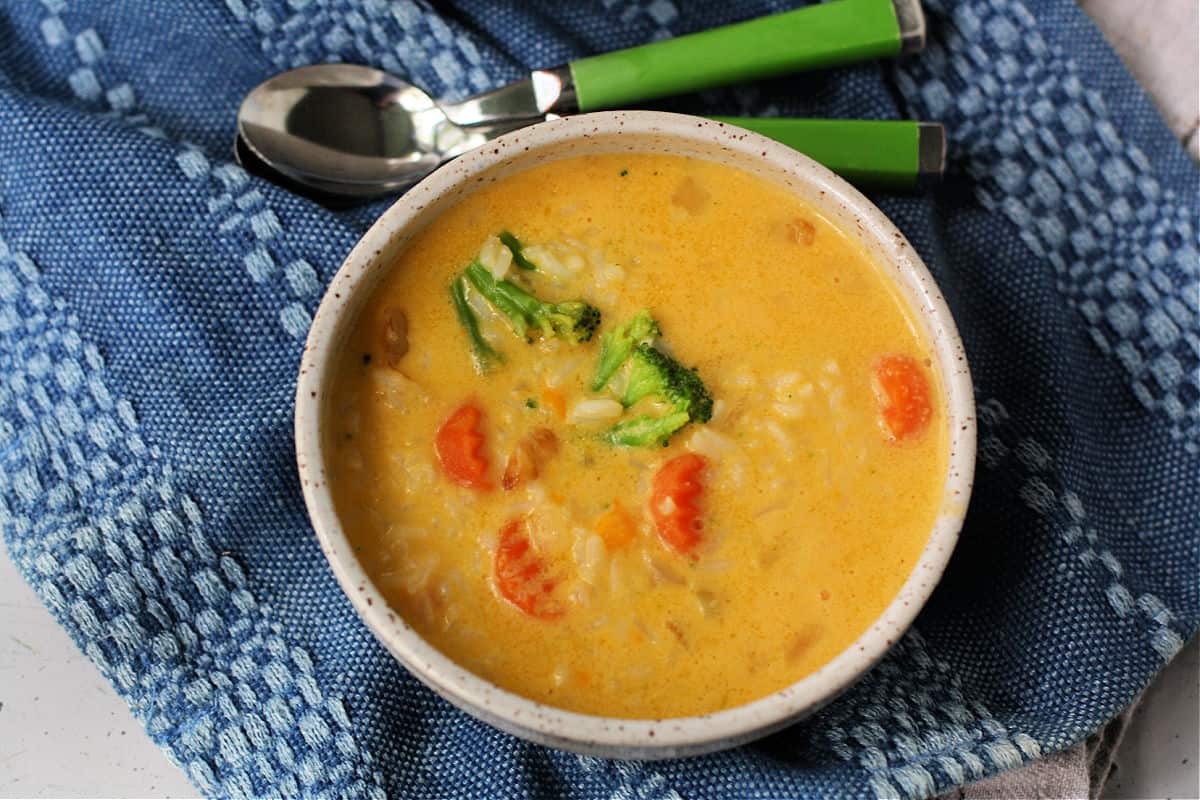 dairy free rice and veggie cheese soup