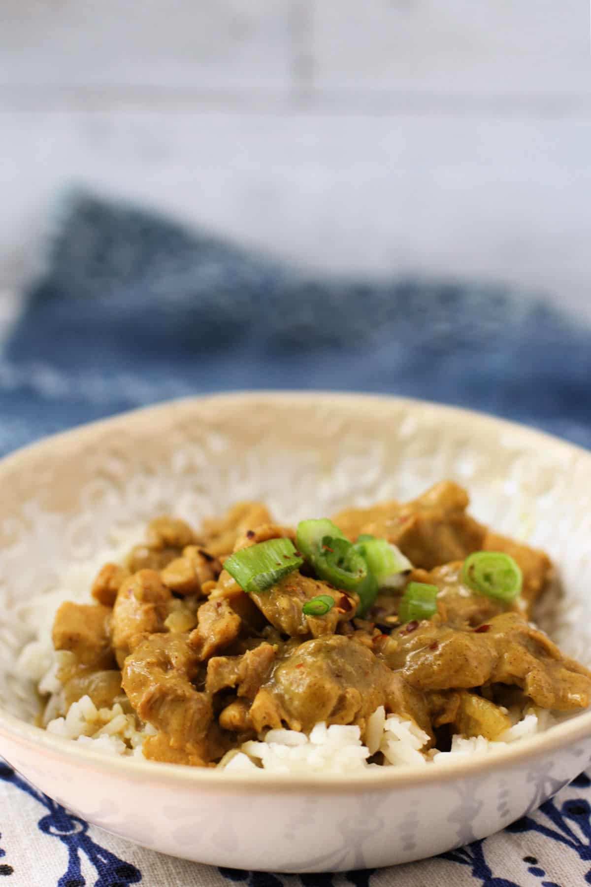 easy chicken curry without dairy in a bowl over rice