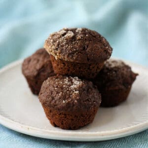 easy chocolate mini muffins