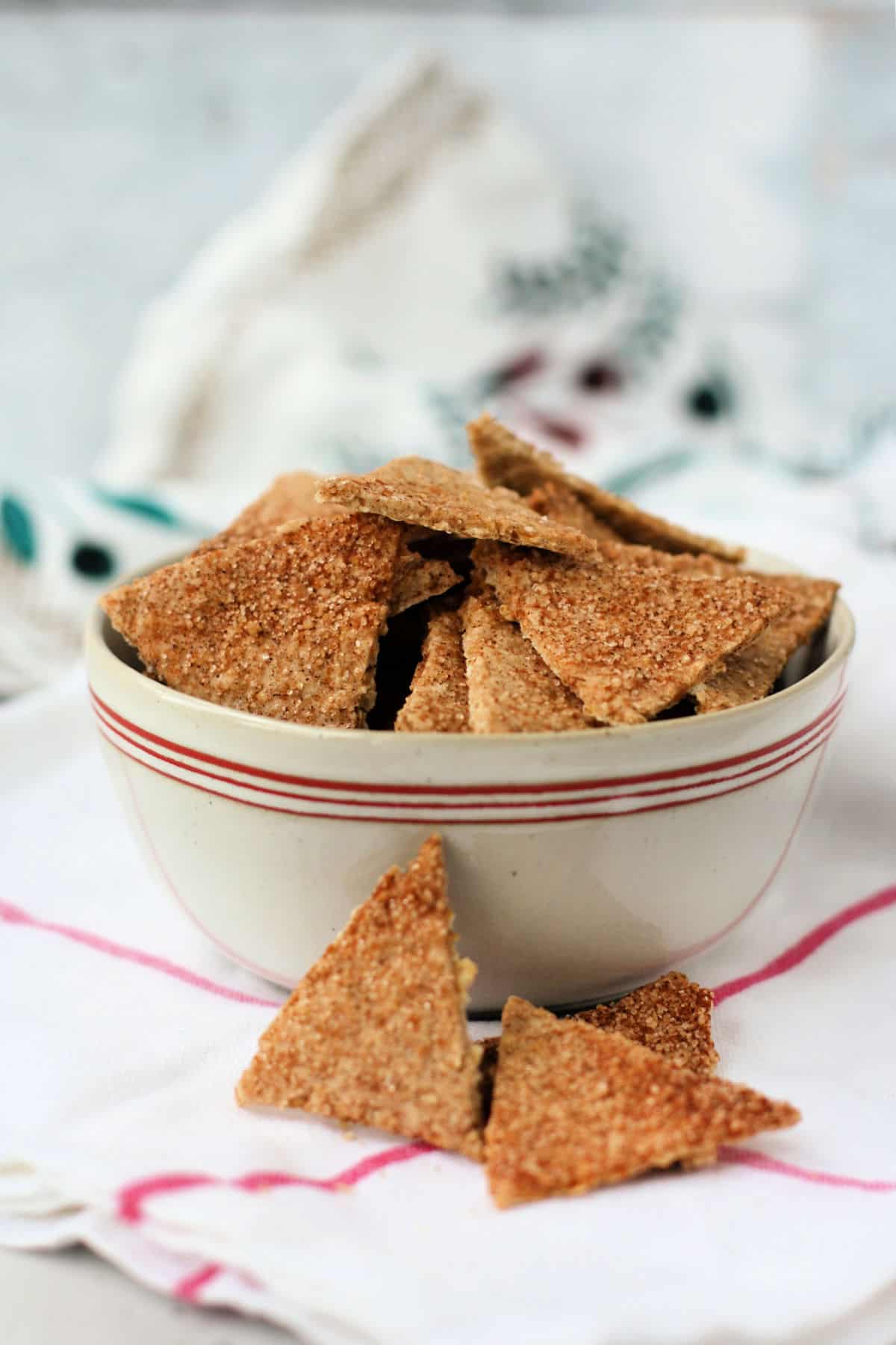 homemade cinnamon sugar crackers