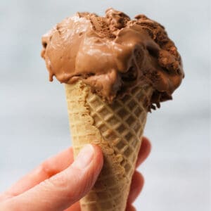 homemade vegan chocolate ice cream in cone
